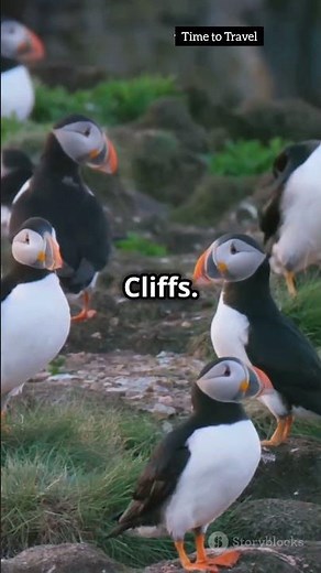 Gambell | 7 Best Places to Visit in Gambell Alaska | Gambell Alaska