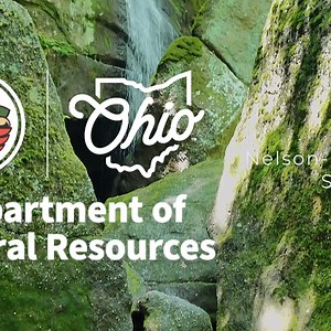 20K views · 201 reactions | Step into a mossy, rugged landscape at...