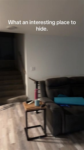 Exploring the Newest Baby Kitten's Unique Hiding Spots