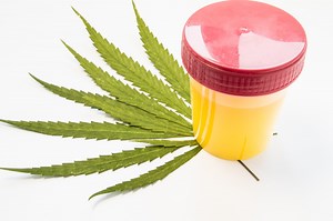 How to Beat a Drug Test, According to Experts