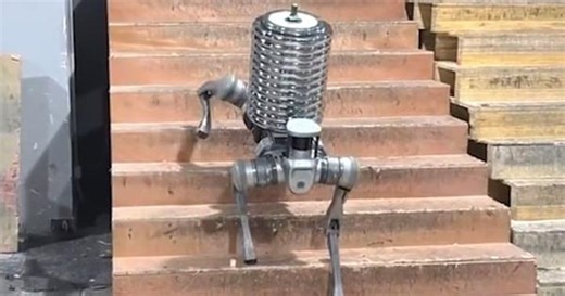 Robo weightlifter! Robot dog carries 550 pounds of dumbbell plates