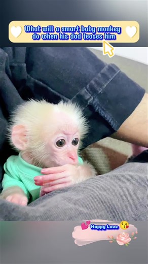 Smart Baby Monkey's Reaction to Dad's Teasing