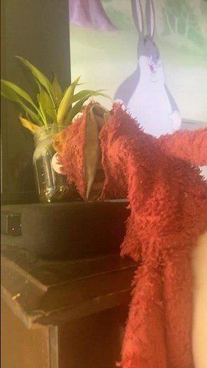 elmo world dorothy fish question and mr noodle