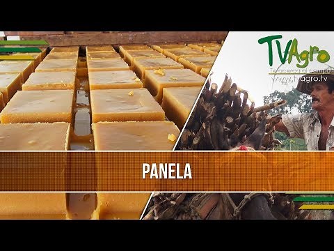What is the Panela Production Process? - TvAgro by Juan Gonzalo Angel