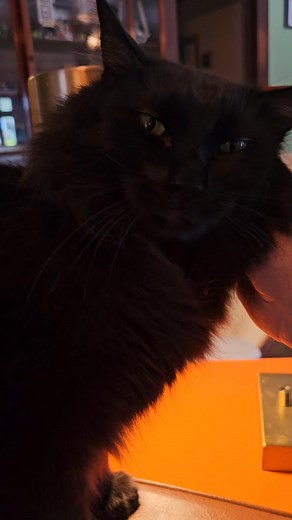 Dan Thompson on Reels