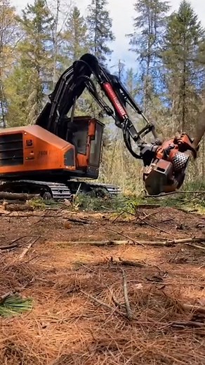 tree cutting machine | Green Earth