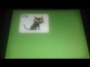 Moose and zee Puzzle time cat