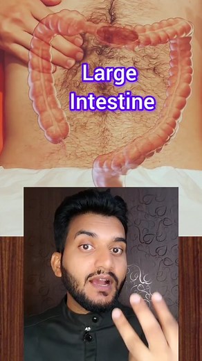 Large intestine Peristalsis movement Human anatomy #trendingreels #doctor #health #hospital #healthtips #nursing #trend #neetpreparation Hospital knowledge Health knowledge | Patel.nursing.academy