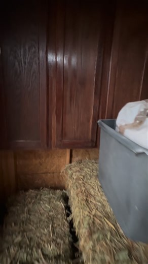 I got a nice little addition to the goat barn feed room! My wonderful hubby installed some cabinets for extra storage 👍 #farmlife #farming #diy #goats #hardwork #boldlygofarm | Boldly Go Farm