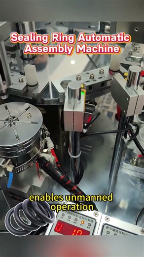 Sealing Ring Automatic Assembly Machine #assemblymachine #machine #automation