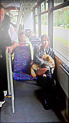 Social Experiment on Respect and Connection