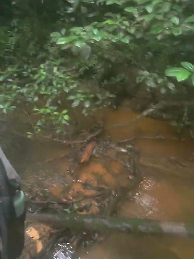 What is river? what is trail? #ecuador #sustainability #senseofsource