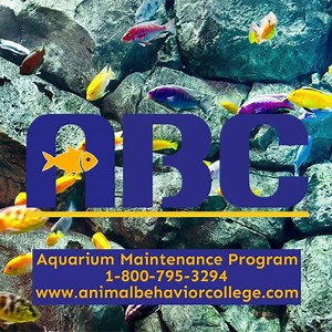 900K views | Animal Behavior College on Reels | Facebook