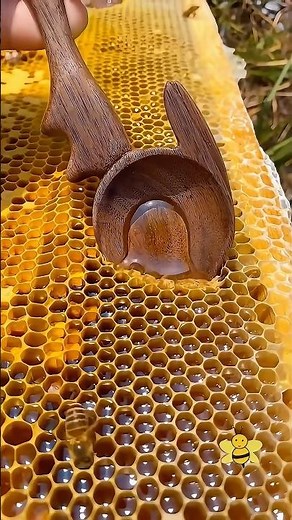 Why does honey almost never expire?