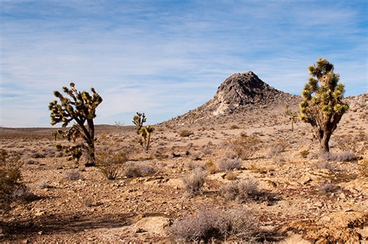 Lesson 50 - EXODUS 14-15