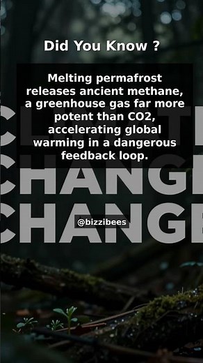 Did You Know Facts - Climate Change and Environmental Impact