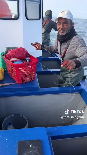 Yellowtail Fishing Commercial with MVF Piranha | Handline Fishing