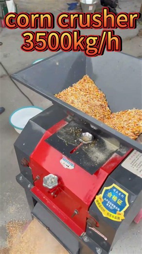 3500kg/h Corn Crusher | Fast Maize Grinding Machine for Feed Production#corncrusher #agriculture