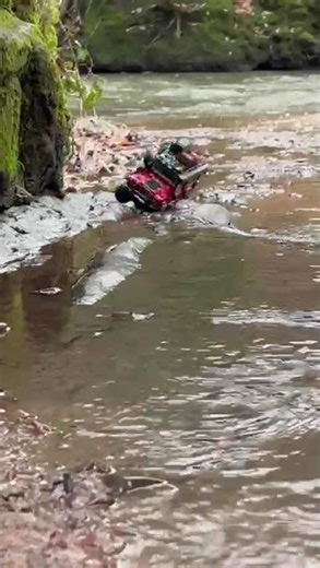mud crawler 016