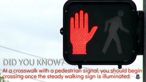 DID YOU KNOW? At a crosswalk with a pedestrian signal, you should begin crossing once the steady walking sign is illuminated. Once the hand starts flashing or the countdown begins, entering the crosswalk is no longer legal. Stay safe, #Sarasota. #AlertTodayFlorida | Sarasota Police Department