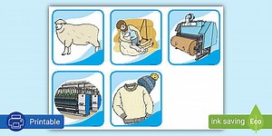 Where Does Wool Come From? Sequencing Cards