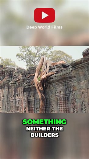 Phrom Temple: Where Nature Reclaims Ancient Stone #shorts
