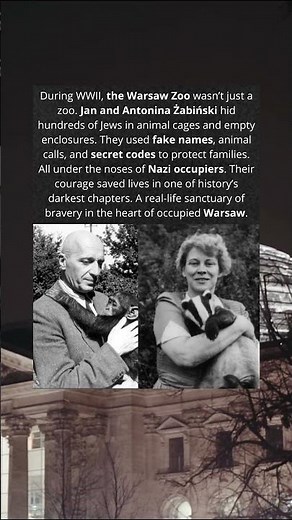 The Zoo Keepers Who Saved Hundreds 🦁✊