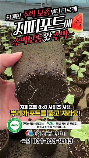Start watermelon planting with Jiffy circular pots 8x8! The first step to growing strong watermel...
