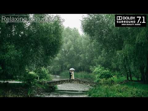 Rain and Thunder Sounds for Sleeping | High Quality 3D Dolby Atmos Sound | Relaxing Naturals
