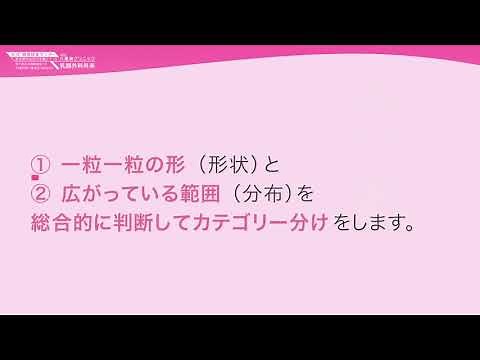 乳がん検診の結果～マンモグラフィ検査：石灰化とカテゴリー