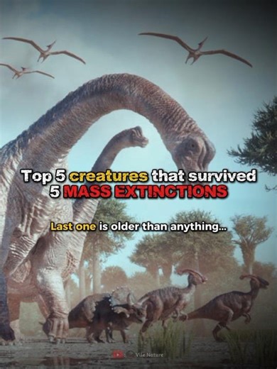 They just REFUSED to extinct... #animals #prehistoric #creepyfacts