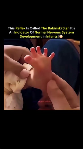 The Amazing Neurological coordination of human body!🤯