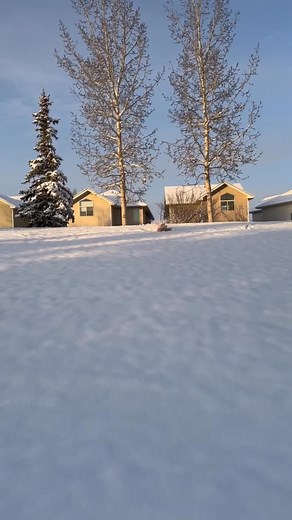 Gertrude says finally, we have some stuff to roll in. | Danny Lyon
