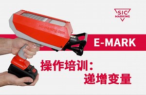 西刻标识E-MARK操作培训：递增变量