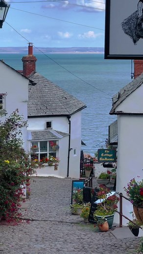 Have you visited Clovelly yet? Just another lovely day in one of prettiest villages in Devon. I really adore this village 😍 📍Clovelly is a privately-owned harbour village in the Torridge district of Devon, England. #clovelly #clovellybeach #mindfulliving #slowtravel #visitdevon #cottagecore #englishcountryside #devon #clovellyvillage #cottage #inspiremyinstagram #cottagecoreaesthetic #darlingescapes #countryside #homebeautiful #ofwhimsicalmoments #momentsofmine #ukstaycations #shetravels #visi