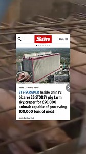 Over the past few years, farmers across China have invested billions of dollars in huge, high-rise pig facilities. Zhongxin Kaiwei Industrial Pig Farm, located in Ezhou City, Hubei Province, is a highly automated facility with just over 300 staff across the site. Most of its systems are monitored from a central control room on the first floor. The farm, dubbed the "Pig's Palace", opened late last year with a capacity of 650,000 pigs. The site consists of two 26-story buildings and is currently t