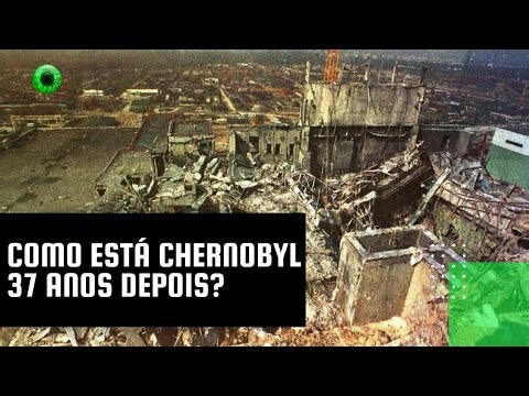 Como está Chernobyl 37 anos depois?