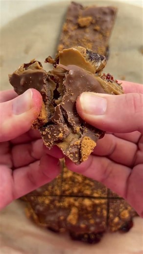 Easy Biscoff Date Slice No Bake Recipe