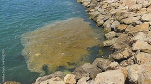 Environmental pollution in the sea and nature - Concept environmental plastic pollution ocean water with garbage human waste