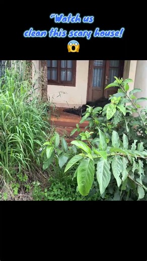 Uncovering Abandoned Homes P1