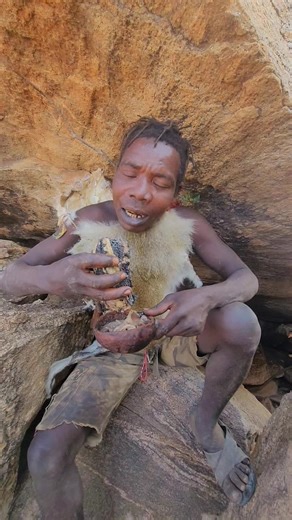 AFRICAN WILDLIFE TODAY on TikTok