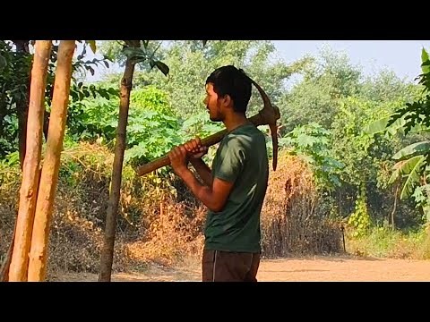 Ploughing of Field by Hand🫴| खेत की हाथ से जुताई🧑‍🌾| Traditional Indian Farming | Village Life Vlogs