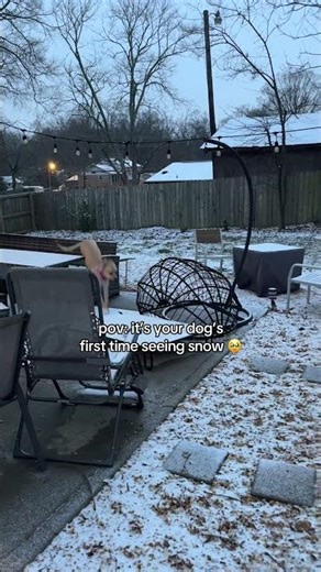 Core memory unlocked 🥹