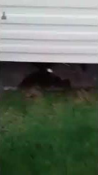 Drain down a static caravan -Haven -Park Dean