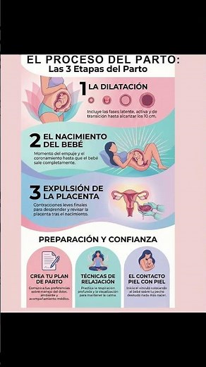 Las 3 Etapas del Parto #contenido
