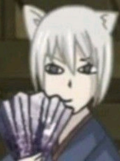 Kamisama Kiss: Esperando pela 3ª Temporada