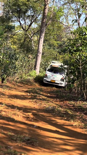 Unlocking the Secrets of Traditional Thai Dancing