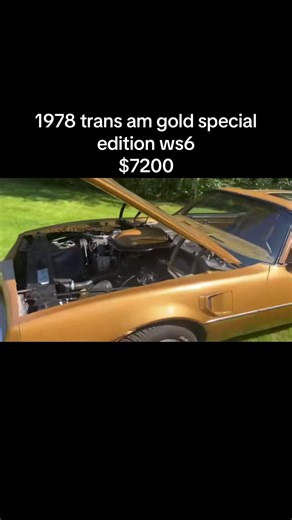 1978 Pontiac Firebird Trans Am Gold Special Edition WS6 81k Miles Shown 400ci V8 Holley four-barrel carburetor Aftermarket Camshaft Three-Speed Automatic Transmission Gold Paint Camel Tan Velour Upholstery Removable T-Top Roof Panels 15