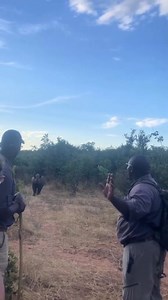 Extreme closecall with a couple of massive Rhino's! 🦏 Luckily these guides knew what they were doing! . . . Follow @killshot.hunting 🌾 #huntingsafari #hunting #huntingafrica #safari #outdoors #rhino #rhinoceros | KillShot Hunting