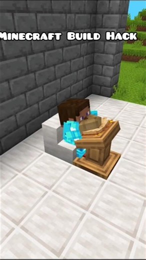 Minecraft Secret Build Hack That Will Change Your World 🤯 #minecraft​ #shorts​